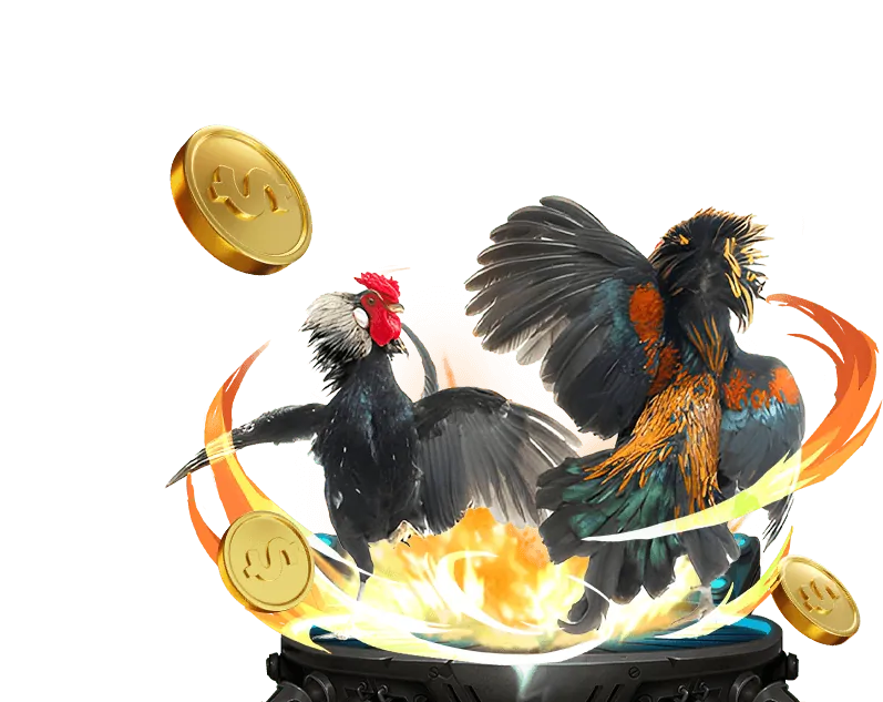 An toàn và công bằng là ưu tiên hàng đầu tại 777vin777